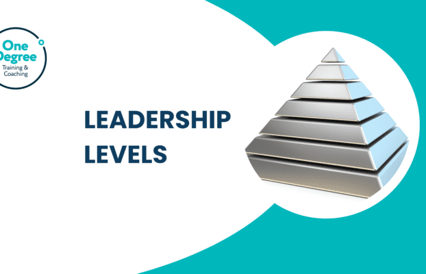 When to introduce a new level of leadership?
